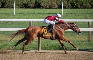 main-types-of-bets
